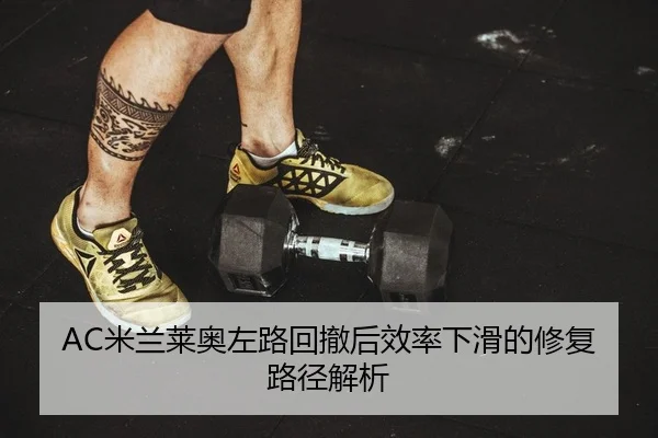 mi-lan-lai-ao-zuo-lu-hui-che-hou-xiao-lv-xia-hua-de-xiu-fu-lu-jing-jie-xi-2-698.jpg